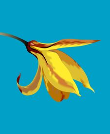 Yellow Flower On A Blue Background Stock Images Yellow Flower On A Blue Background Stock Images