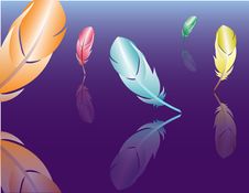Color Feathers Royalty Free Stock Image Color Feathers Royalty Free Stock Image