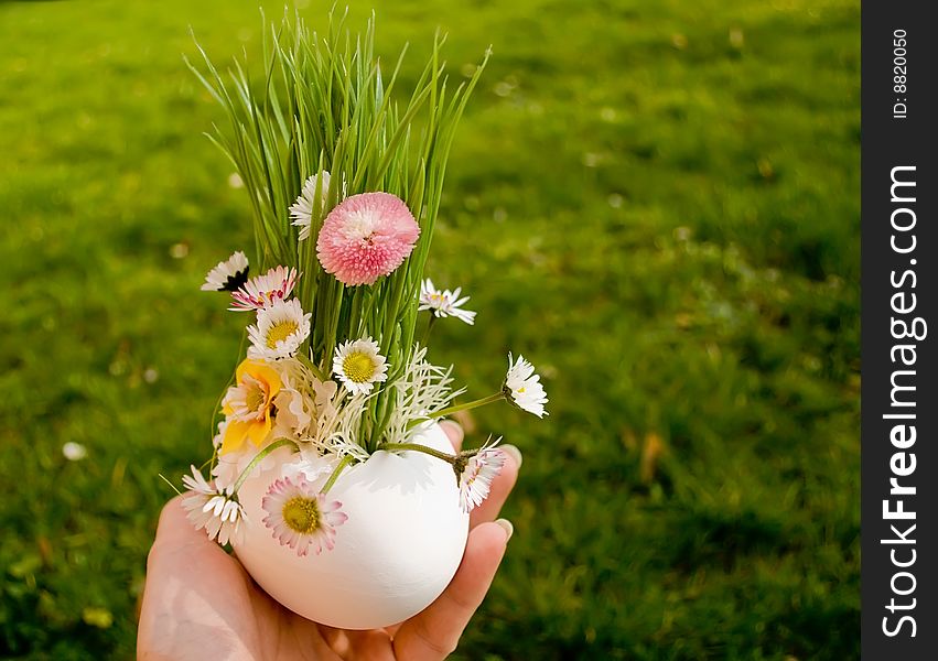 The bouquet from camomile's in an egg shell, lies on a palm. The bouquet from camomile's in an egg shell, lies on a palm.