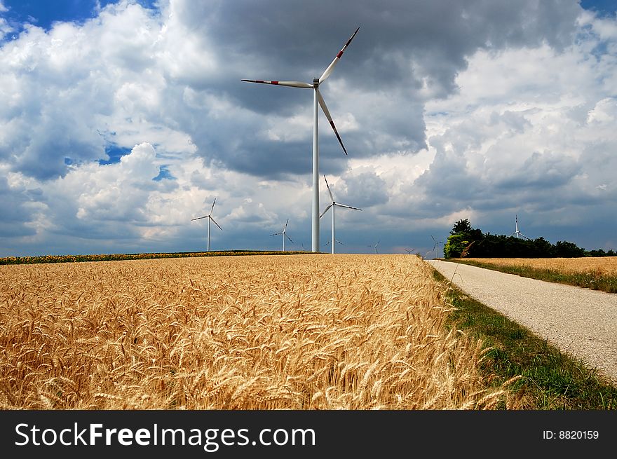 Wind turbines in a wheat field. Wind turbines in a wheat field