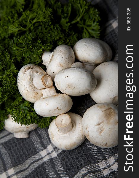 Group of field mushrooms on a kitchen hand towel. Group of field mushrooms on a kitchen hand towel
