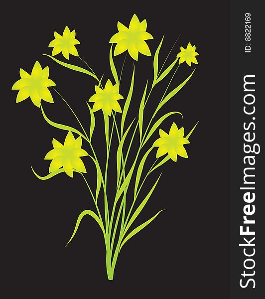 A bouquet of field flowers. Vector illustration