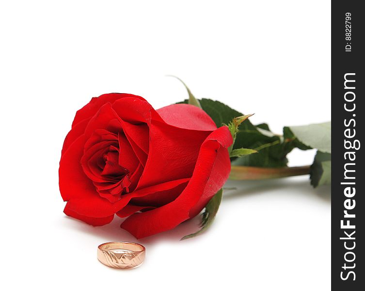 Rose and ring on white background