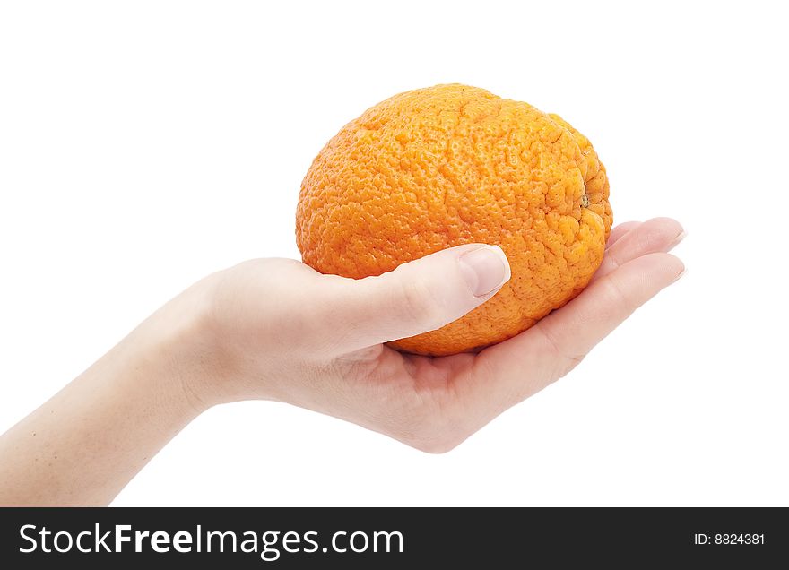 Orange in hand on white background