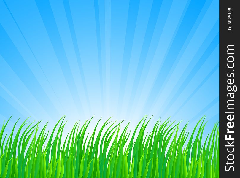 Fresh green grass. Vector illustration. Fresh green grass. Vector illustration.