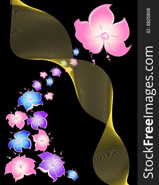 Beautiful abstract flower background on a black background