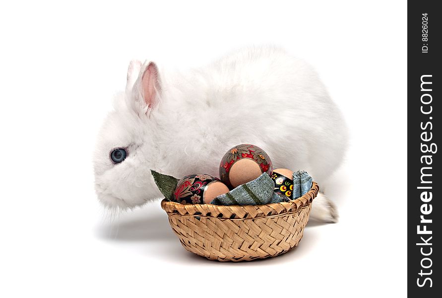 White Easter bunny with colored eggs and basket