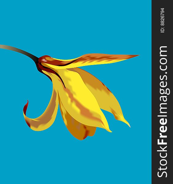Illustration with a yellow flower. Blue background. Illustration with a yellow flower. Blue background.