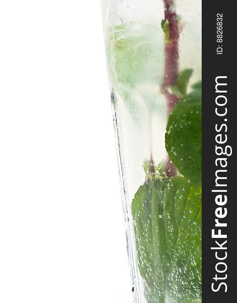 Mojito cocktail on a white background