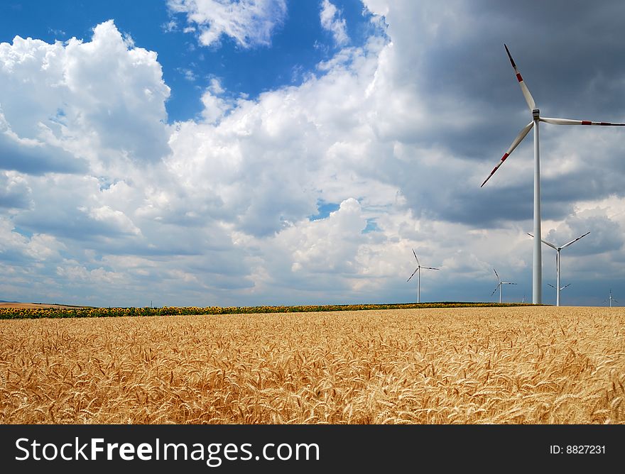 Wind turbines in sunflowers and wheat field. Wind turbines in sunflowers and wheat field