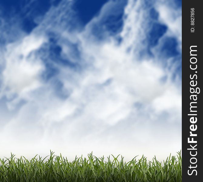 Green grass against the blue cloudy sky - meadow