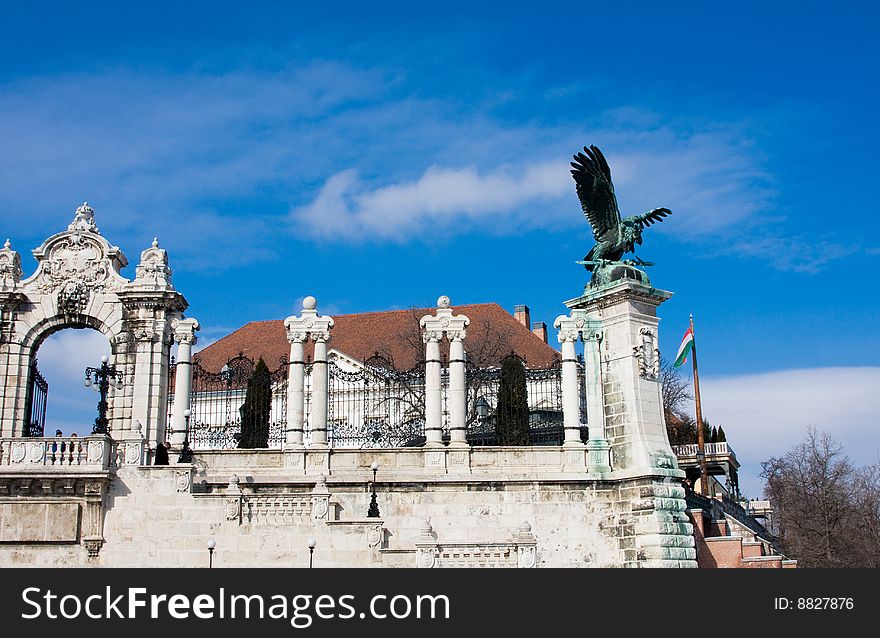 Bird on the hill in Budapest