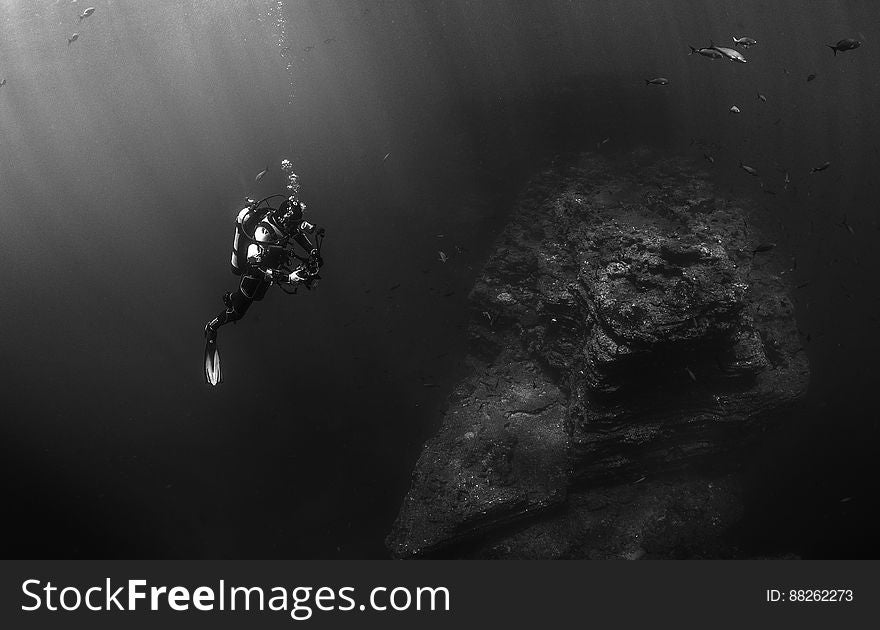 Diver Underwater By Fish And Rock Formation
