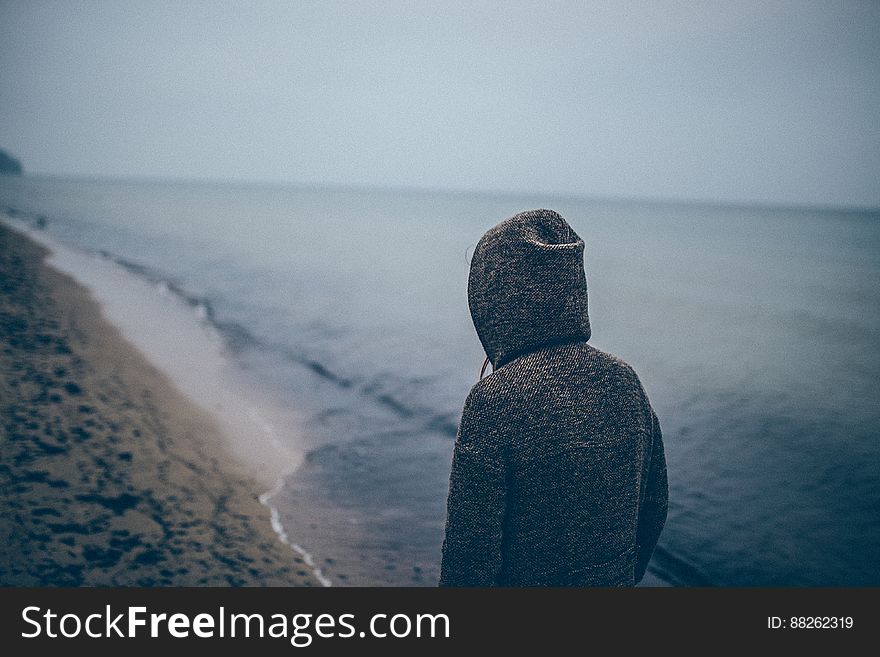 Person Walking Alone On Beach
