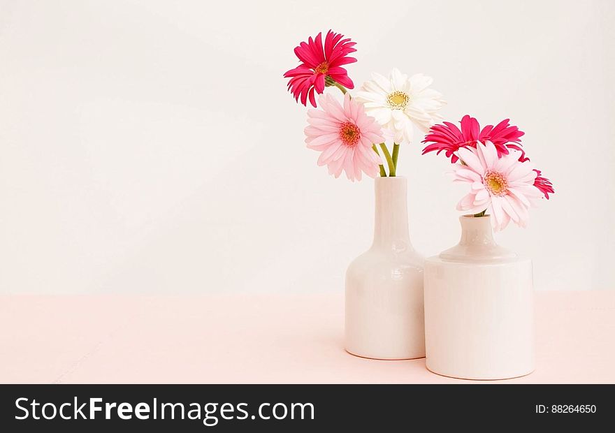 Close up of Gerber daisies in white china vases with copy space. Close up of Gerber daisies in white china vases with copy space.