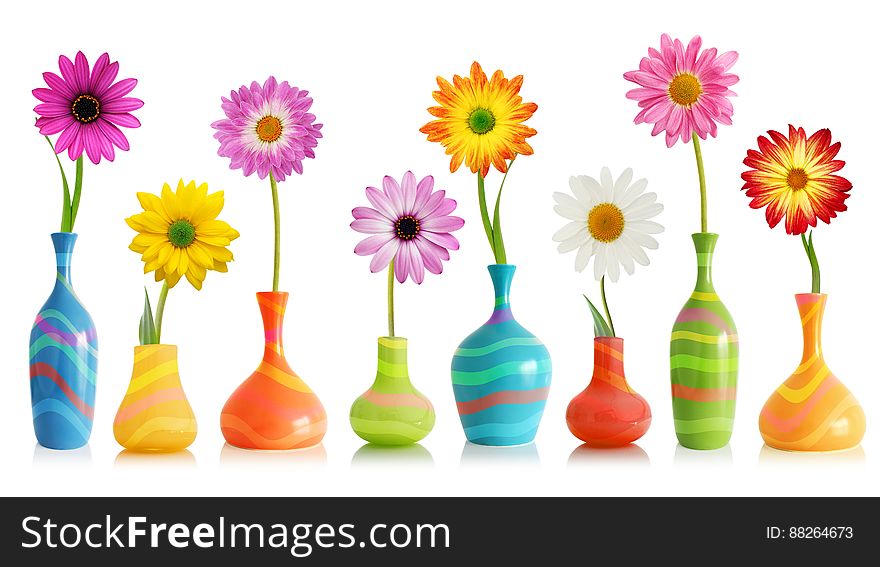Colorful flowers in bright vases on white. Colorful flowers in bright vases on white.