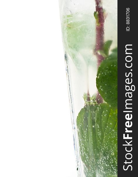 Mojito cocktail on a white background