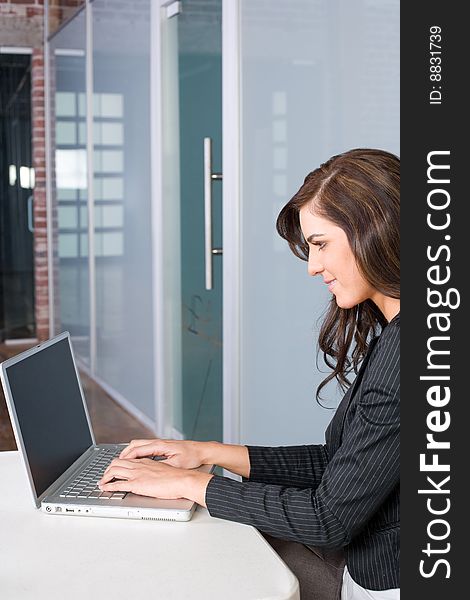 Business Woman In A Modern Office