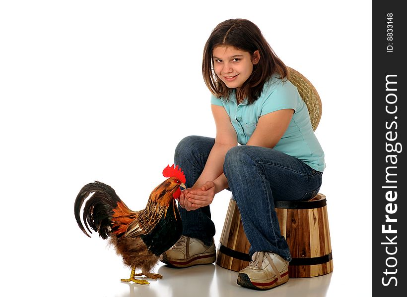 A happy country girl sitting on a barrel hand-feeding a rooster. Isolated on white. A happy country girl sitting on a barrel hand-feeding a rooster. Isolated on white.