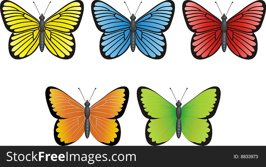 Butterfly collection on white background