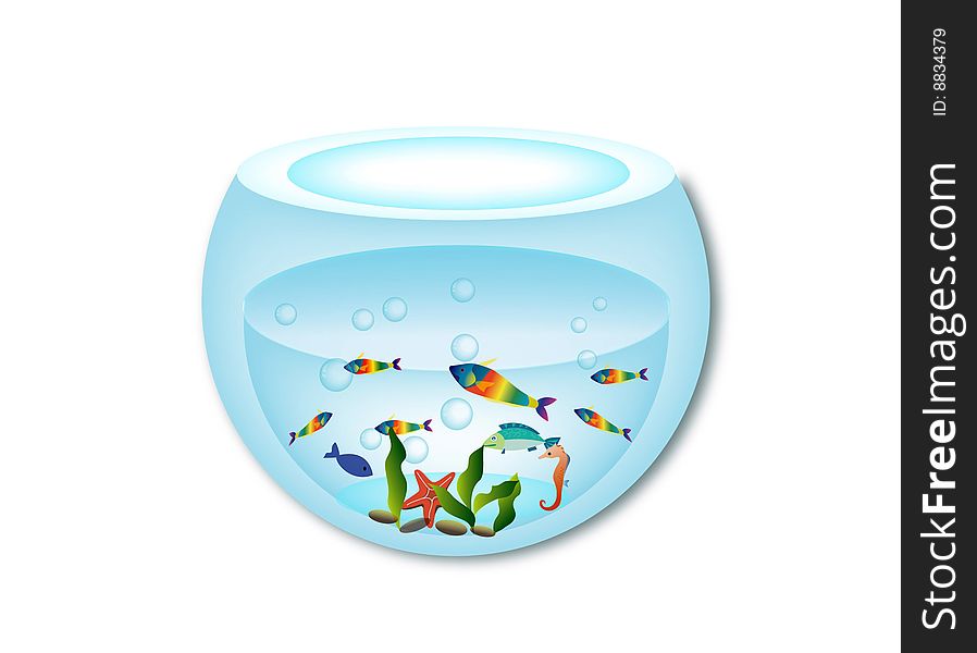 There are many small fishes in the aquarium. There are many small fishes in the aquarium
