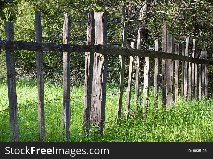 An old fence in a grassy pasture. An old fence in a grassy pasture