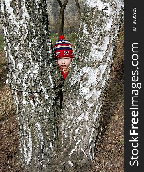 Little Girl With A Birch