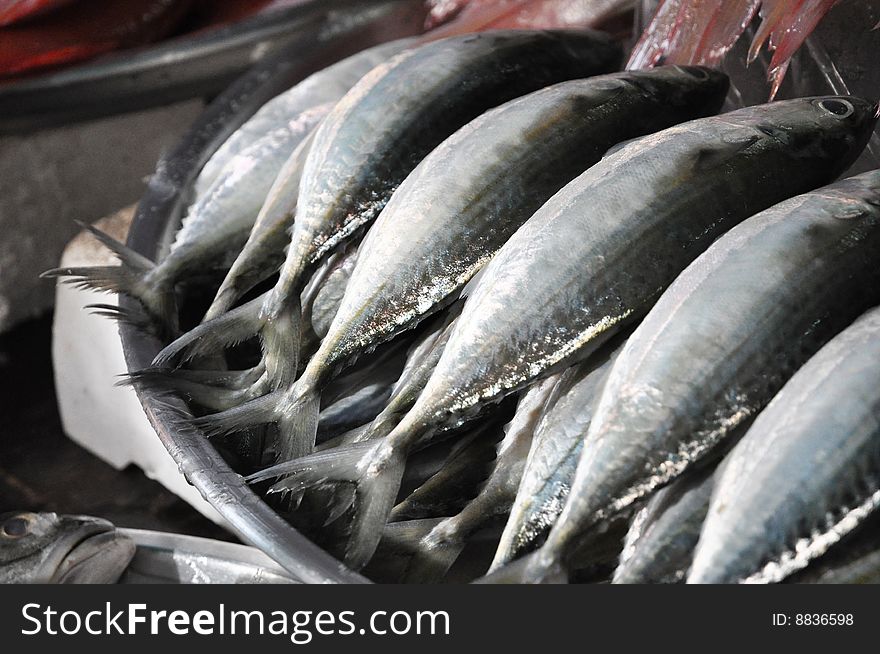 Fresh mackerel is taken to market fresh. Fresh mackerel is taken to market fresh.