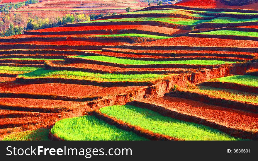 Chinese Yunnan Village gorgeous colorful terraces as a beautiful picture