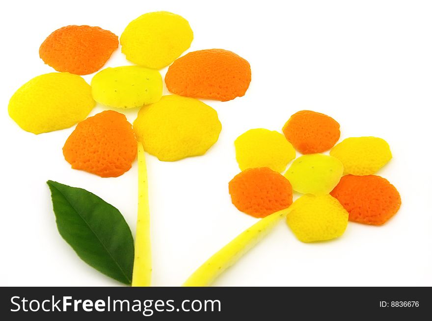 Fruit flowers on a white background