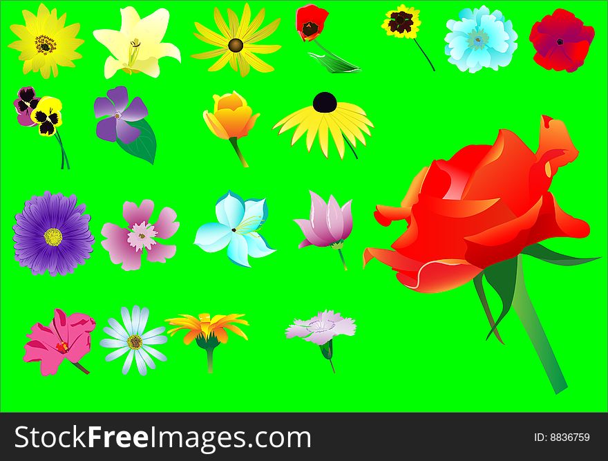 Set from twenty various flowers. Vector. Without mesh.