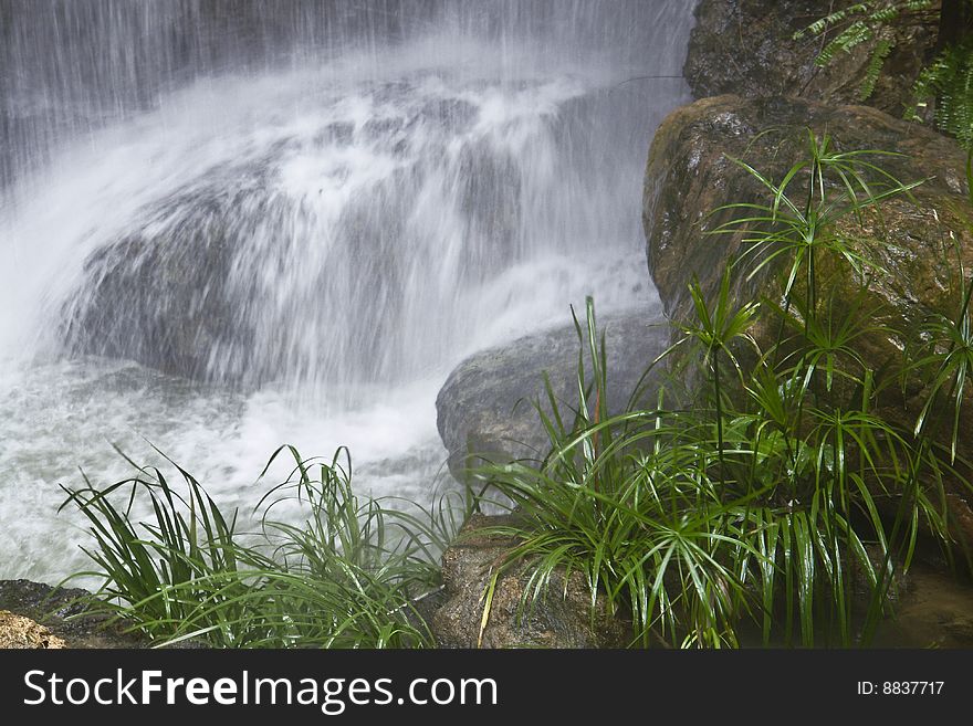 Small waterfall in south china botanical garden of guangzhou city
