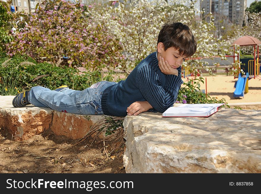 The boy reading the book in park