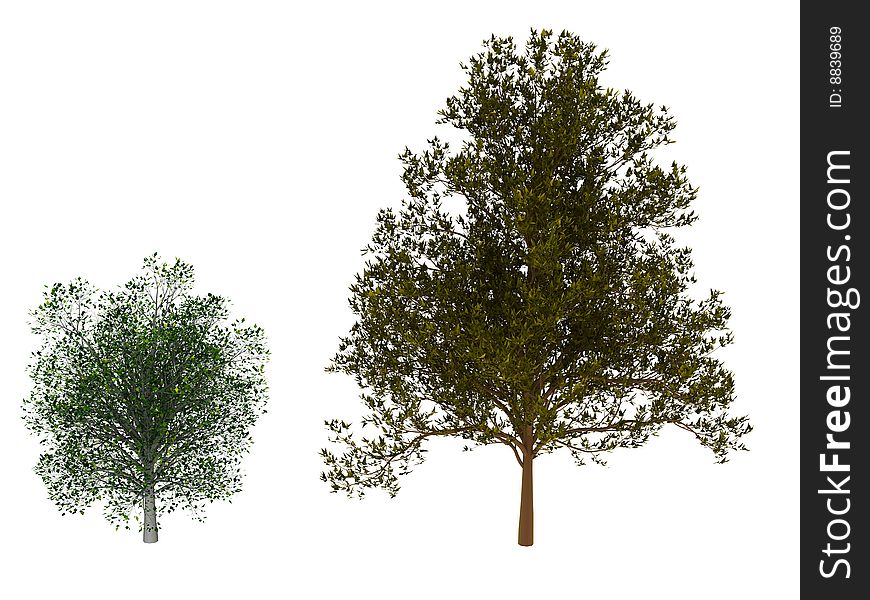 3d render of two trees. Isolated on white background. 3d render of two trees. Isolated on white background.