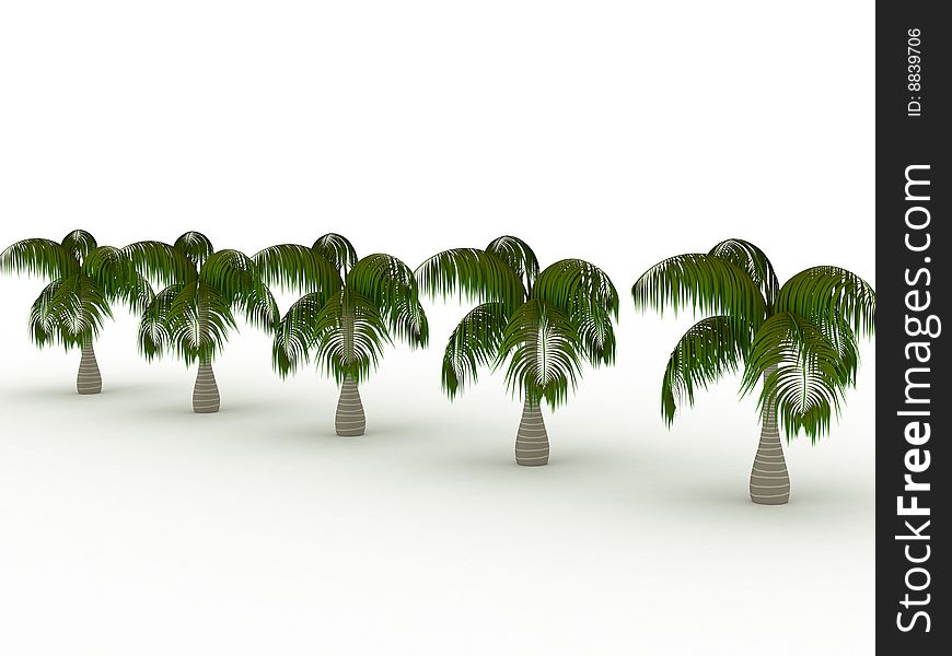 3d render of row of palms. Nature concept.