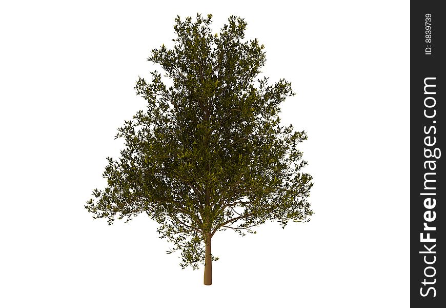 3d render of green tree. Isolated on white background.