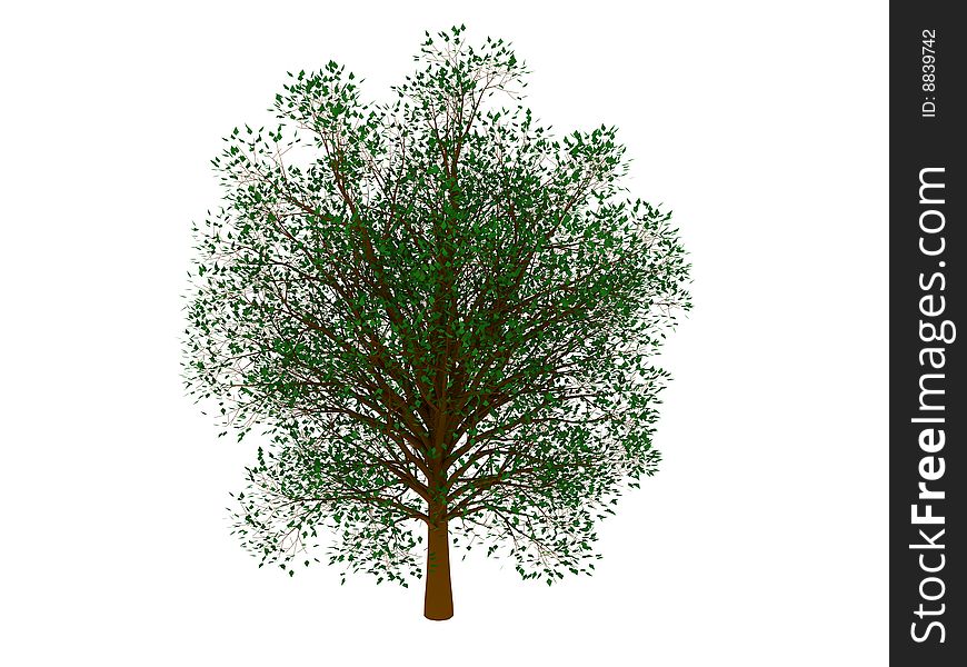 3d render of green tree. Isolated on white background.