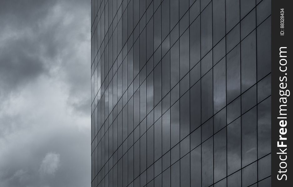 Gray Scale Window Photo