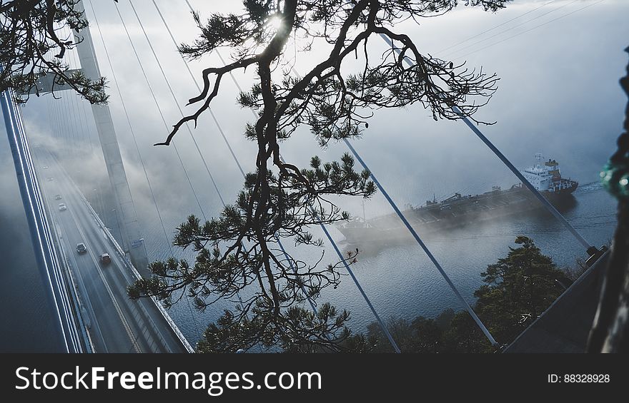 Aerial view through trees to cars on bridge with passing boat. Aerial view through trees to cars on bridge with passing boat.