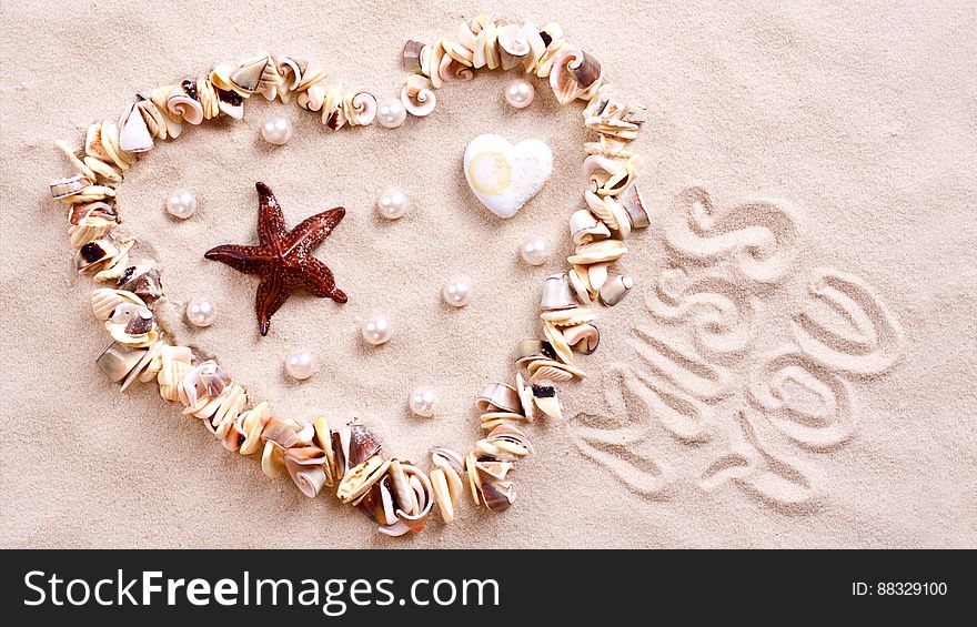 Seashell heart in sand with miss you spelled out.