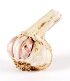 Garlic In A Bad State Stock Images Garlic In A Bad State Stock Images