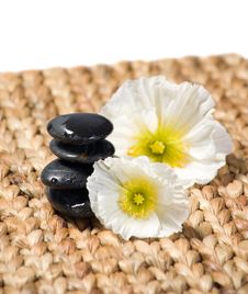 Zen Stones With White Flowers Royalty Free Stock Image Zen Stones With White Flowers Royalty Free Stock Image