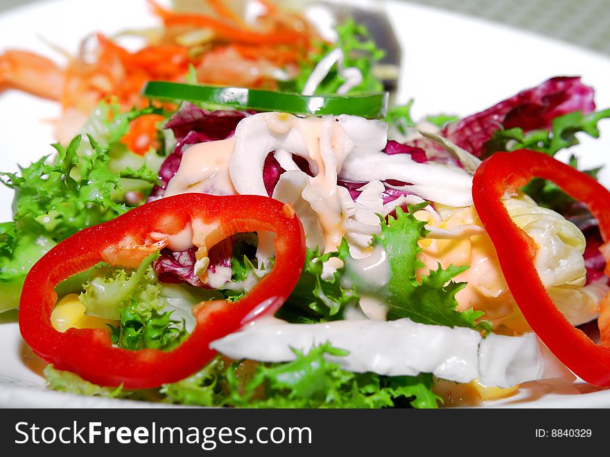 Mixed Organic Vegetable Salad with mayonnaise sauce. Mixed Organic Vegetable Salad with mayonnaise sauce