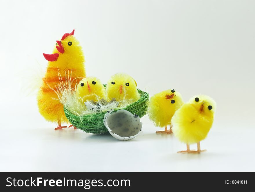 Easter chickens family on white background