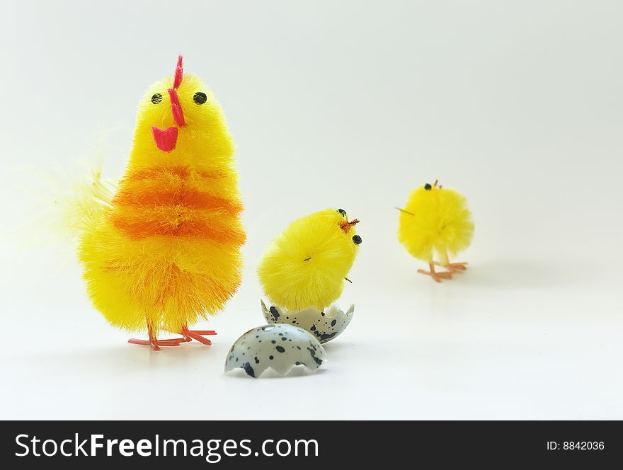 Easter chickens family on white background