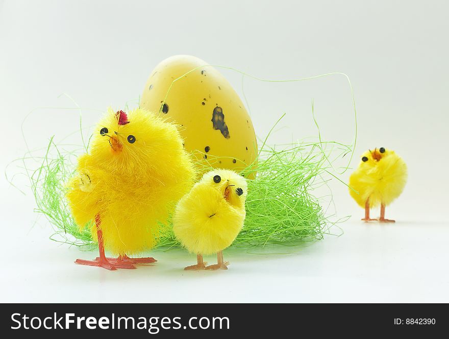 Easter chickens family on white background