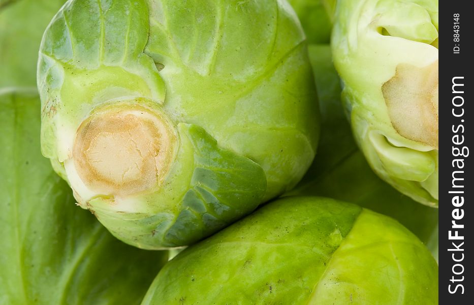 Brussels Sprouts As Background