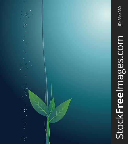 Runaway of a plant on a background of the turned thickness of water. Runaway of a plant on a background of the turned thickness of water