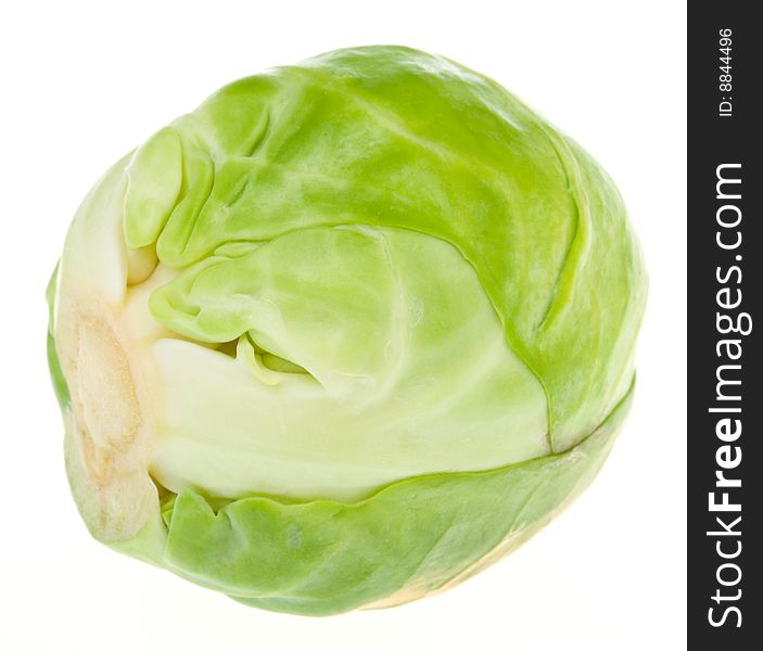 Close-up single brussels sprout, isolated on white