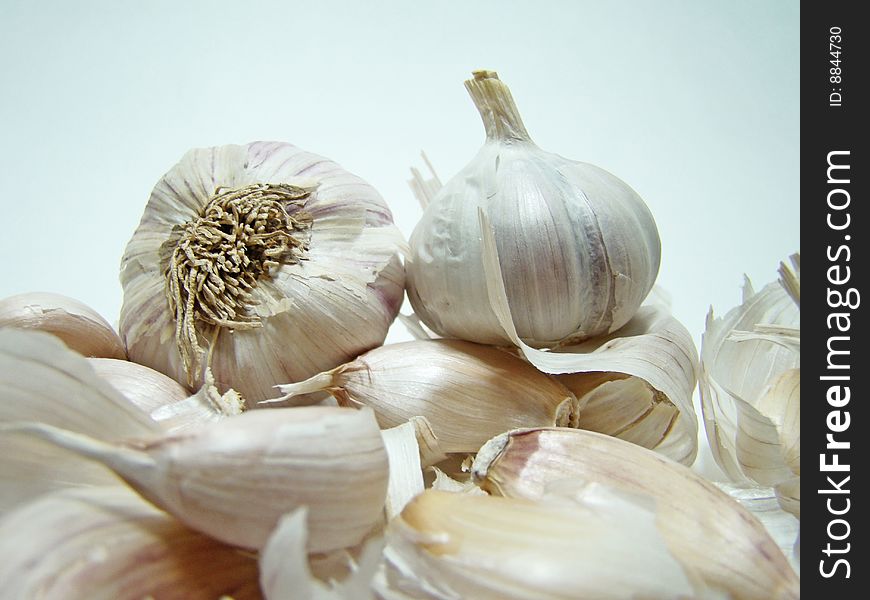Garlic 02
